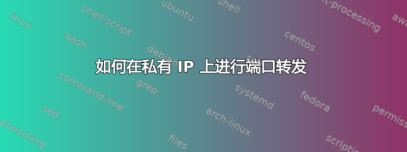 如何在私有 IP 上进行端口转发