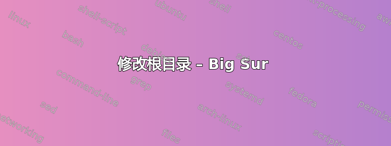 修改根目录 – Big Sur