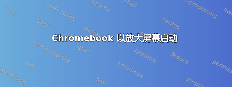 Chromebook 以放大屏幕启动