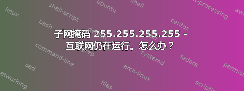 子网掩码 255.255.255.255 - 互联网仍在运行。怎么办？