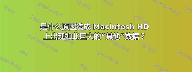 是什么原因造成 Macintosh HD 上出现如此巨大的“其他”数据？