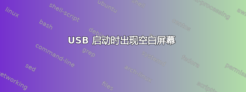 USB 启动时出现空白屏幕