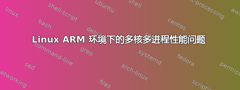 Linux ARM 环境下的多核多进程性能问题