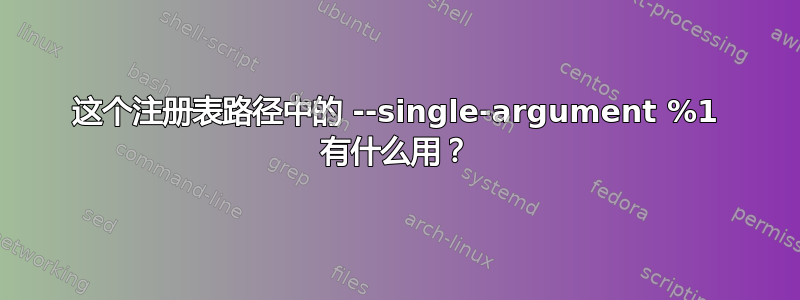 这个注册表路径中的 --single-argument %1 有什么用？