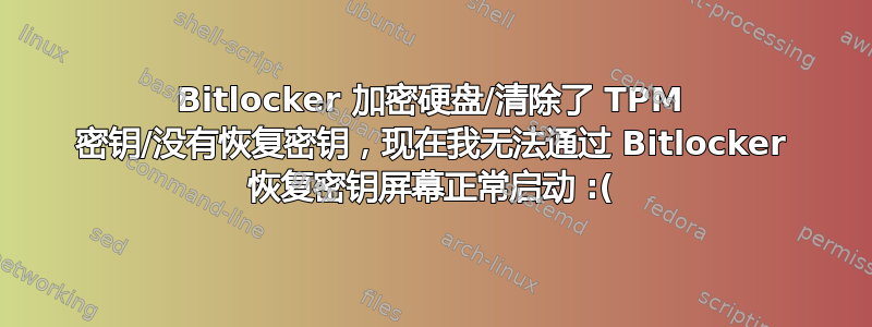 Bitlocker 加密硬盘/清除了 TPM 密钥/没有恢复密钥，现在我无法通过 Bitlocker 恢复密钥屏幕正常启动 :(