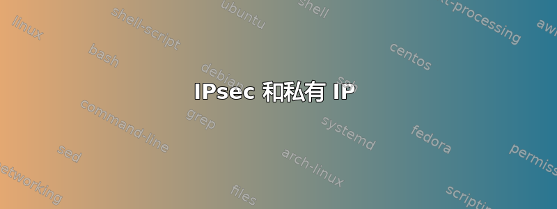 IPsec 和私有 IP