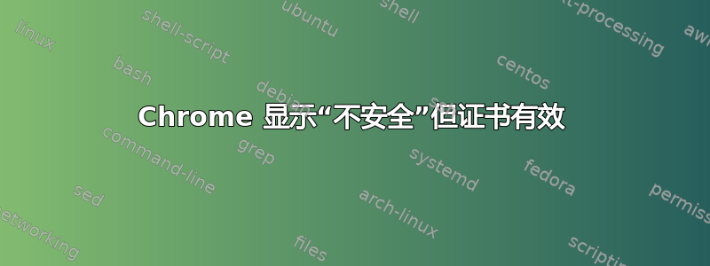 Chrome 显示“不安全”但证书有效