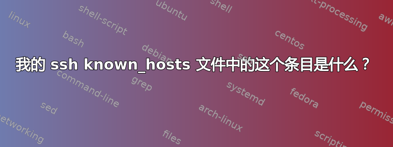 我的 ssh known_hosts 文件中的这个条目是什么？