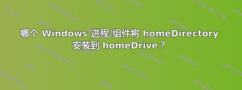 哪个 Windows 进程/组件将 homeDirectory 安装到 homeDrive？