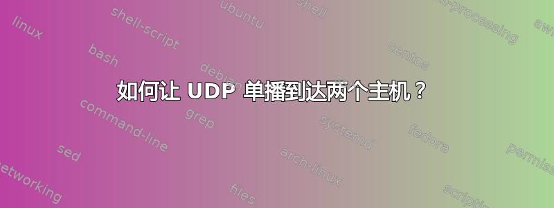 如何让 UDP 单播到达两个主机？