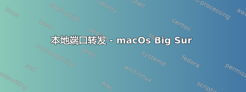 本地端口转发 - macOs Big Sur