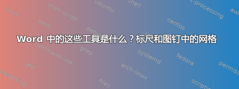 Word 中的这些工具是什么？标尺和图钉中的网格 