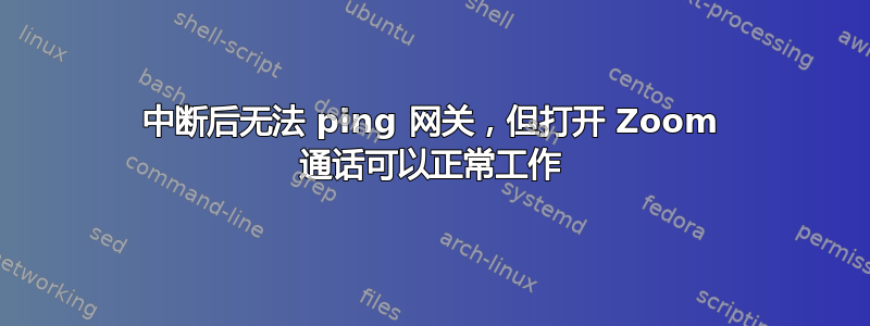 中断后无法 ping 网关，但打开 Zoom 通话可以正常工作