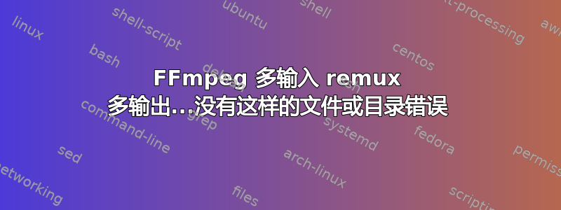 FFmpeg 多输入 remux 多输出...没有这样的文件或目录错误