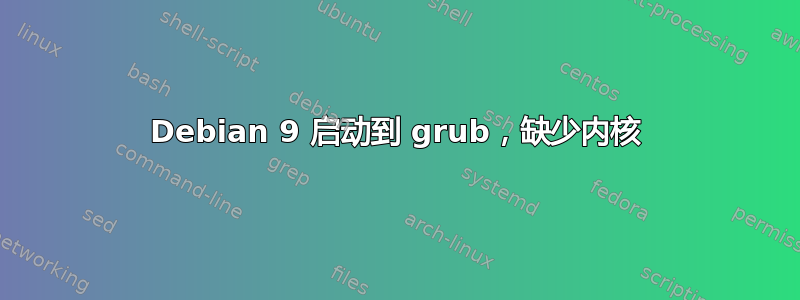 Debian 9 启动到 grub，缺少内核