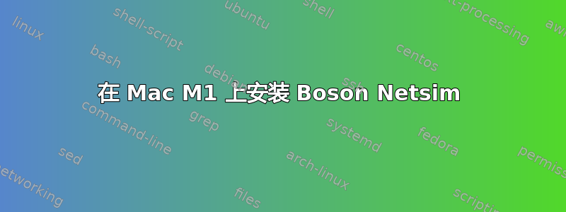 在 Mac M1 上安装 Boson Netsim