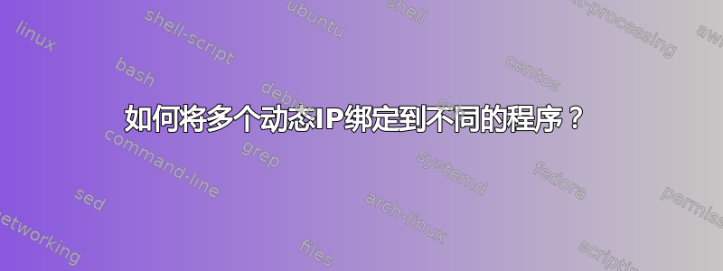 如何将多个动态IP绑定到不同的程序？