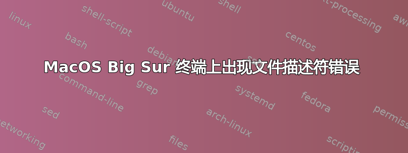 MacOS Big Sur 终端上出现文件描述符错误