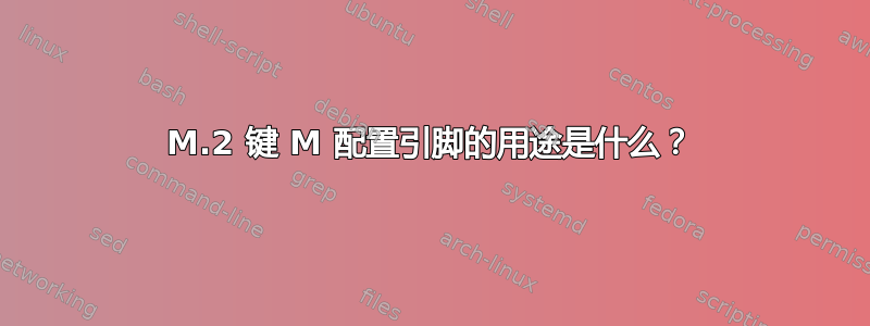 M.2 键 M 配置引脚的用途是什么？