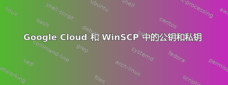 Google Cloud 和 WinSCP 中的公钥和私钥