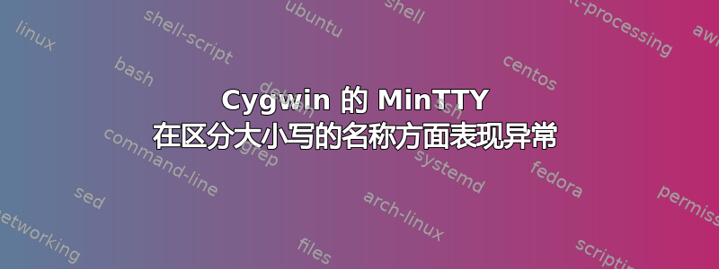 Cygwin 的 MinTTY 在区分大小写的名称方面表现异常