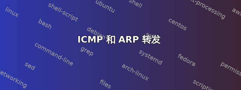 ICMP 和 ARP 转发