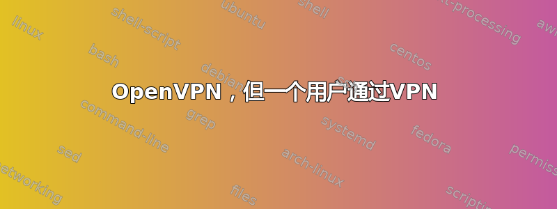 OpenVPN，但一个用户通过VPN