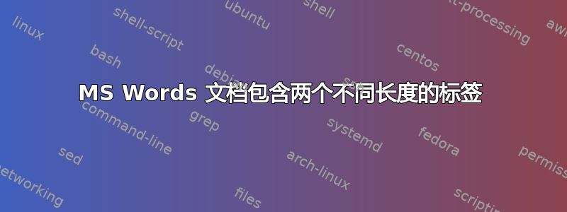 MS Words 文档包含两个不同长度的标签