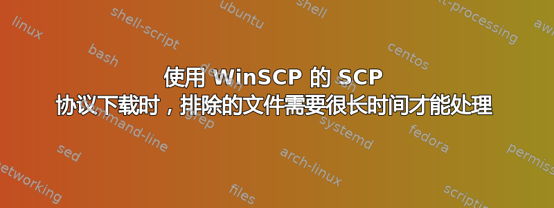 使用 WinSCP 的 SCP 协议下载时，排除的文件需要很长时间才能处理