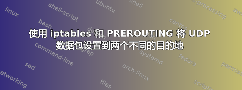 使用 iptables 和 PREROUTING 将 UDP 数据包设置到两个不同的目的地