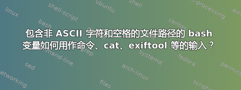 包含非 ASCII 字符和空格的文件路径的 bash 变量如何用作命令、cat、exiftool 等的输入？