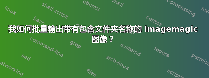 我如何批量输出带有包含文件夹名称的 imagemagic 图像？