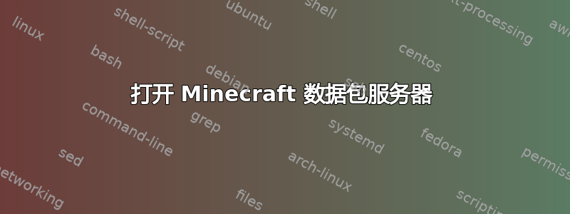 打开 Minecraft 数据包服务器