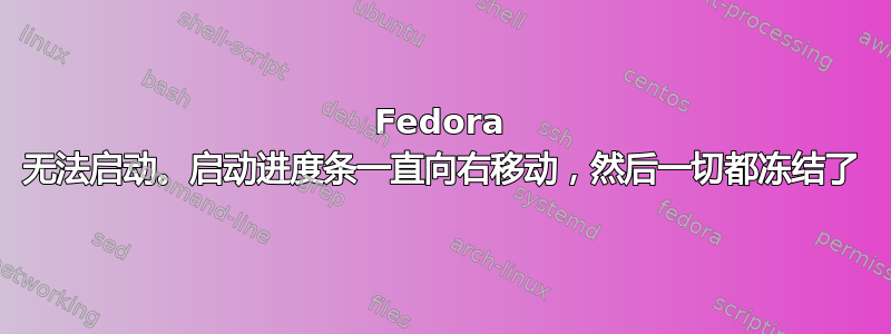 Fedora 无法启动。启动进度条一直向右移动，然后一切都冻结了