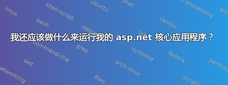 我还应该做什么来运行我的 asp.net 核心应用程序？