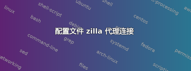 配置文件 zilla 代理连接