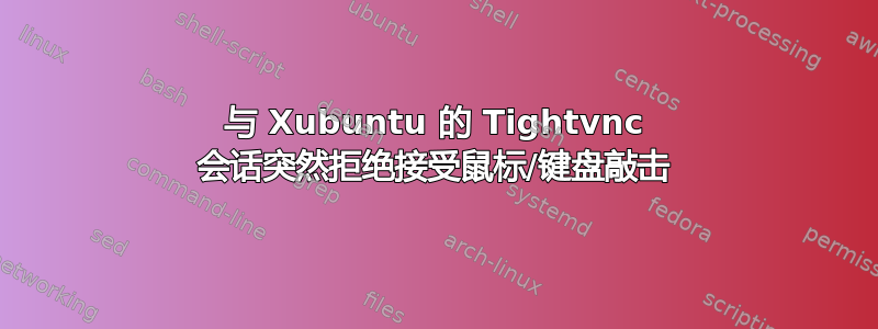 与 Xubuntu 的 Tightvnc 会话突然拒绝接受鼠标/键盘敲击