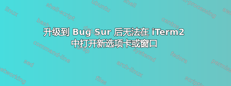 升级到 Bug Sur 后无法在 iTerm2 中打开新选项卡或窗口