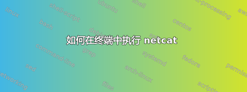 如何在终端中执行 netcat