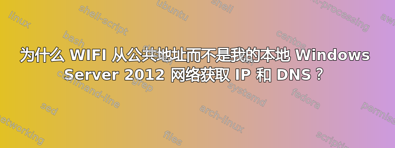 为什么 WIFI 从公共地址而不是我的本地 Windows Server 2012 网络获取 IP 和 DNS？