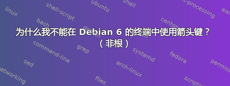 为什么我不能在 Debian 6 的终端中使用箭头键？ （非根）