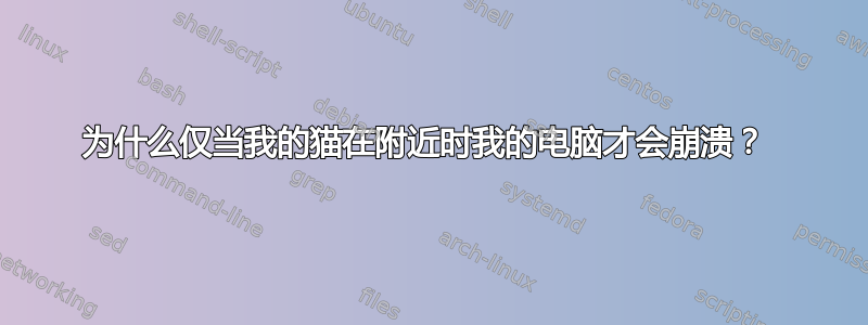 为什么仅当我的猫在附近时我的电脑才会崩溃？ 