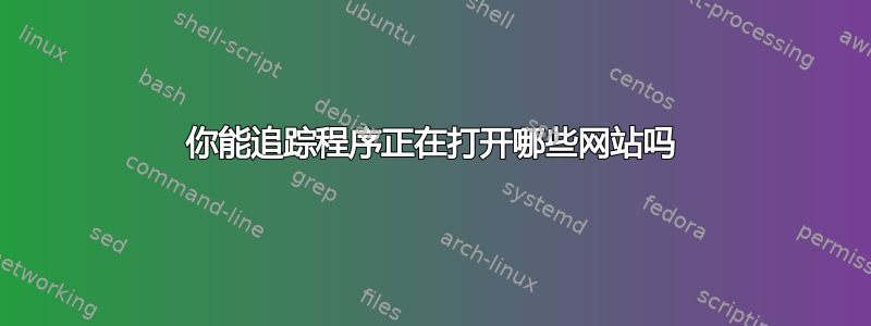 你能追踪程序正在打开哪些网站吗