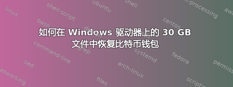 如何在 Windows 驱动器上的 30 GB 文件中恢复比特币钱包