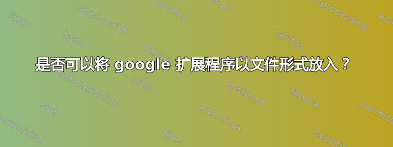 是否可以将 google 扩展程序以文件形式放入？