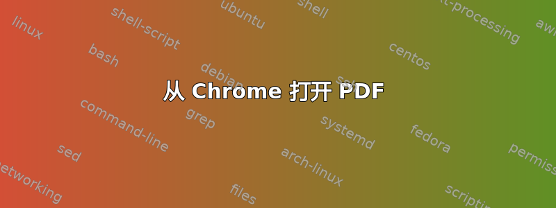 从 Chrome 打开 PDF