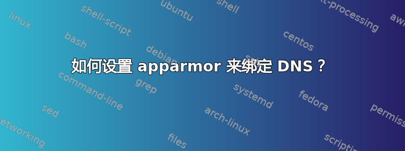 如何设置 apparmor 来绑定 DNS？