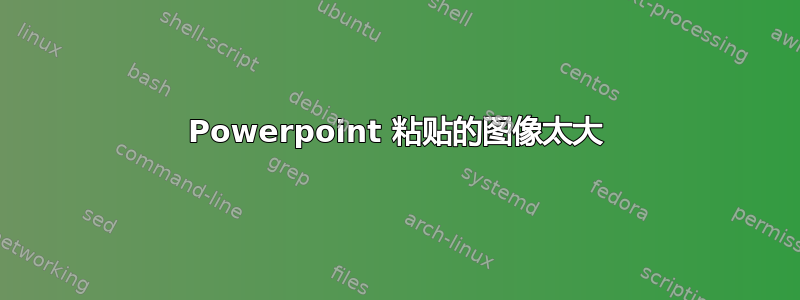 Powerpoint 粘贴的图像太大