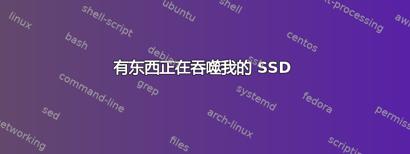 有东西正在吞噬我的 SSD