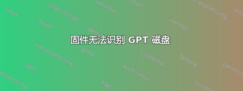 固件无法识别 GPT 磁盘